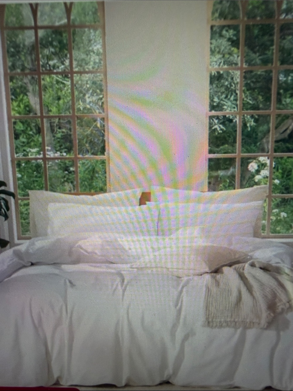 NWOT MooMee Bright White Cotton Queen Duvet Cover Set & 2 Standard pillowcases